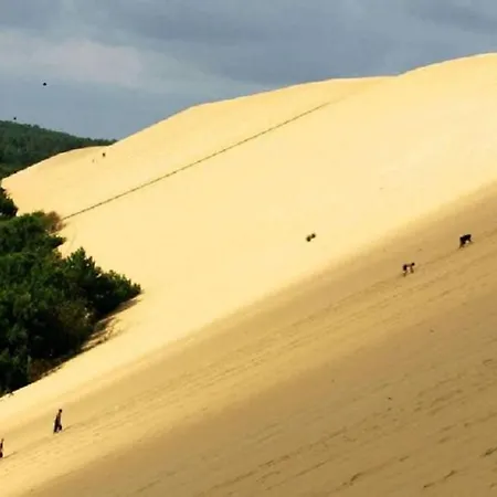 L Europe * Arcachon